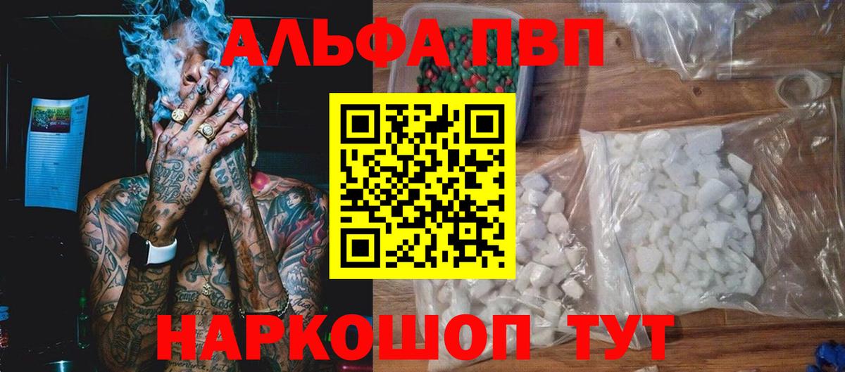 A PVP СК КРИС Аргун