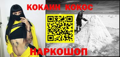 шишки Абакан