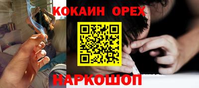 шишки Абакан