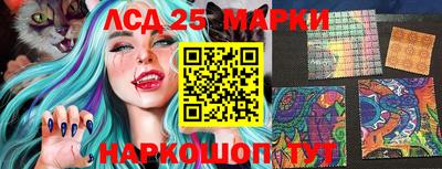 шишки Абакан