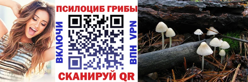 Галлюциногенные грибы GOLDEN TEACHER  сколько стоит  Аргун 