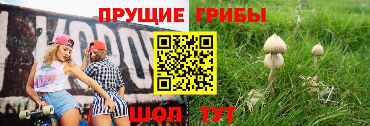 Аргун  Псилоцибиновые грибы прущие грибы  Вход с VPN  Псилоцибиновые грибы прущие грибы 