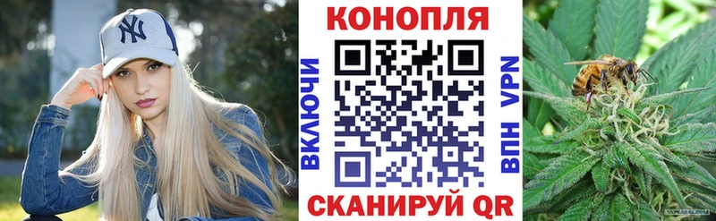 как найти   Аргун  Шишки марихуана план 