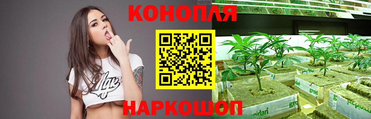 Шишки марихуана White Widow  Аргун  Бошки марихуана семена 